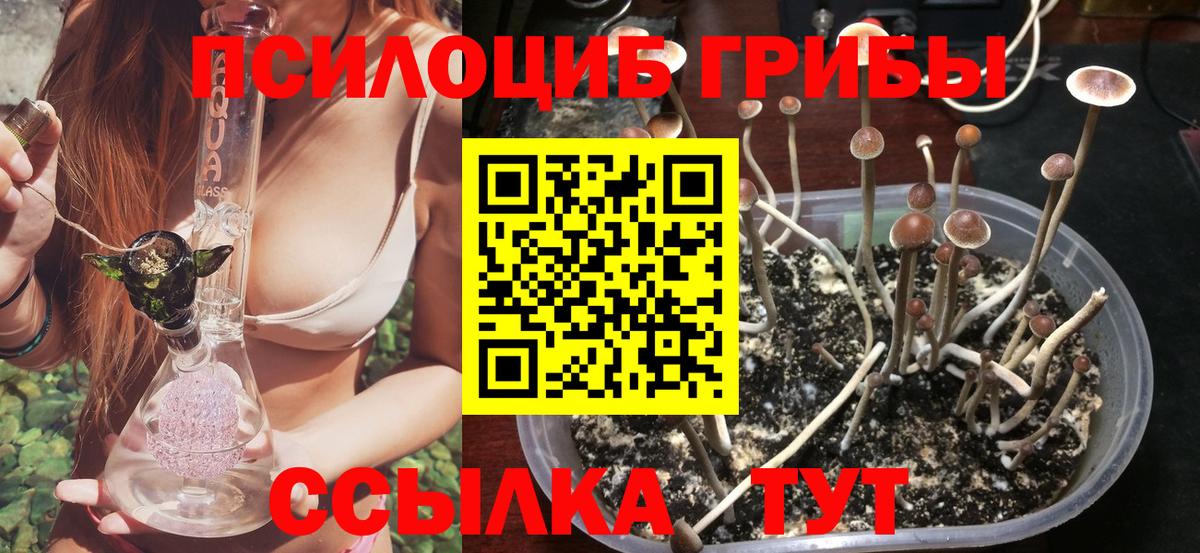 Карачаевск  Галлюциногенные грибы Psilocybine cubensis  Псилоцибиновые грибы GOLDEN TEACHER  Вход с VPN 